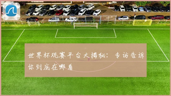 世界杯观赛平台大揭秘：专访告诉你到底在哪看