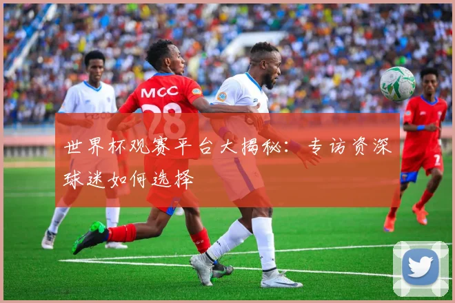 世界杯观赛平台大揭秘：专访资深球迷如何选择